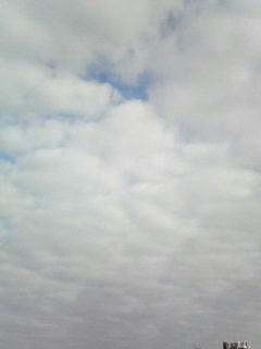 081003_0742.jpg
