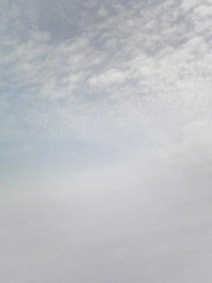 081005_1005.jpg
