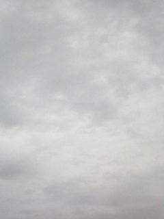 081008_0732.jpg