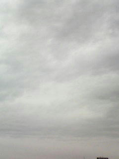 081008_0733.jpg