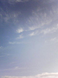 081009_0751.jpg