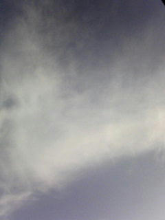 081010_0740.jpg