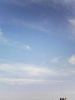 081010_0741.jpg