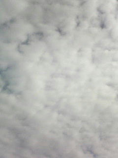 081013_0856.jpg