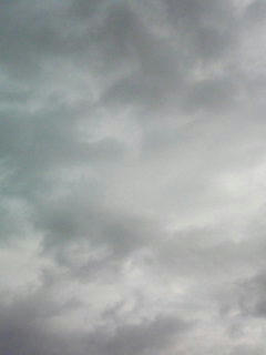 081014_0718.jpg
