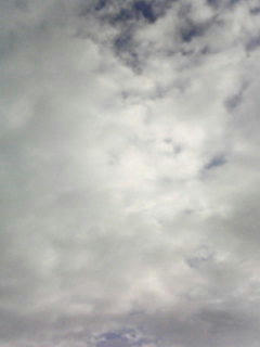 081015_0724.jpg