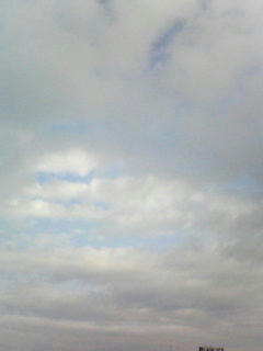 081015_0725.jpg