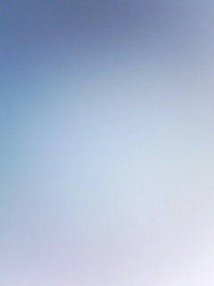 081016_0741.jpg