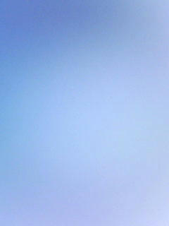081020_0846.jpg