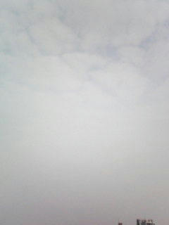 081022_0752~001.jpg