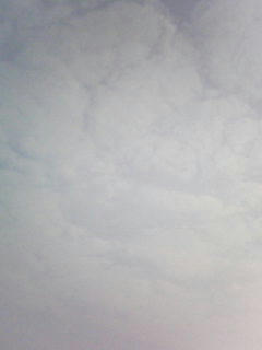 081022_0751.jpg
