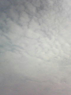 081023_0811.jpg