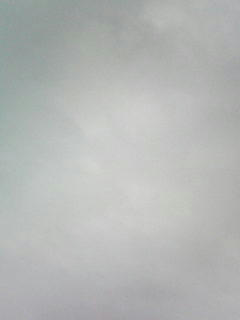 081024_0805.jpg