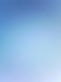 081028_0746.jpg