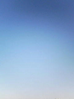 081028_0749.jpg