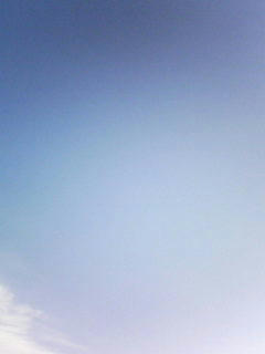 081029_0743.jpg