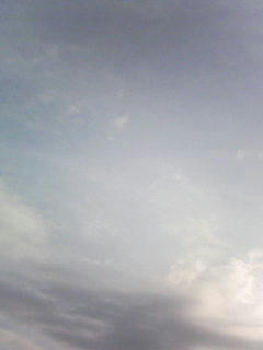 081031_0734.jpg