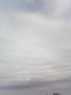 081031_0735.jpg