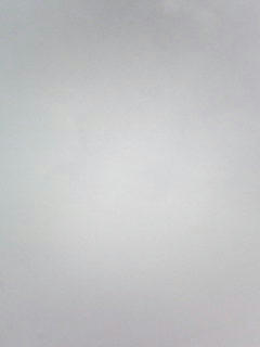 081031_0922.jpg