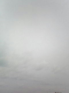 081031_0923.jpg