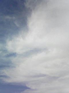 081104_0913.jpg