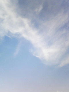 081104_0914.jpg
