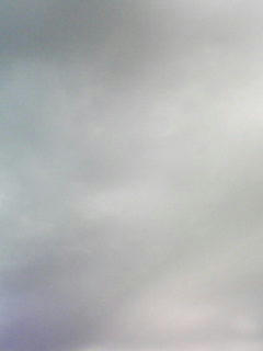 081105_0838.jpg