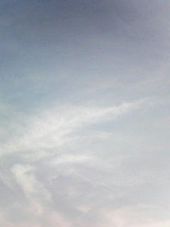 081106_0809.jpg