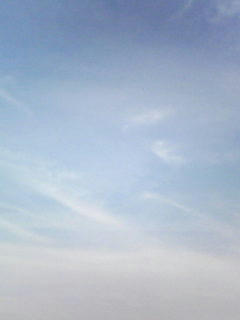 081106_0810.jpg