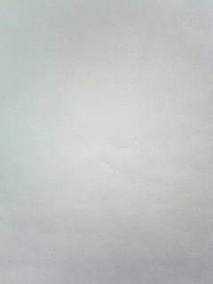 081107_0751.jpg