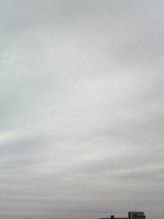 081107_0752.jpg