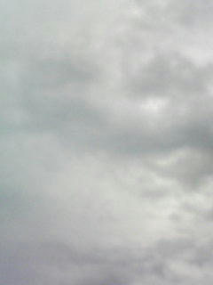 081110_0754.jpg