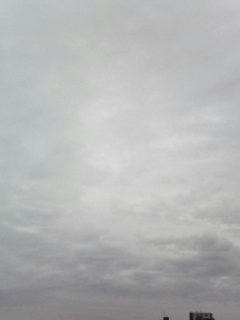 081110_0755.jpg