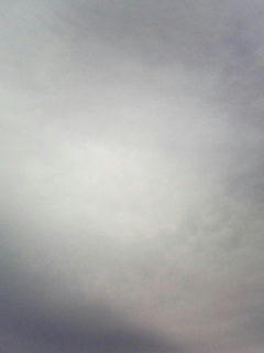 081111_0750.jpg
