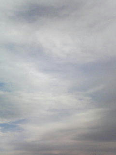 081111_0751.jpg