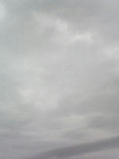 081112_0749.jpg