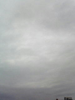 081112_0750.jpg