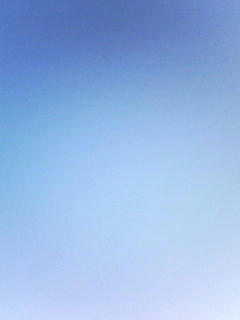 081113_0807.jpg