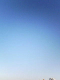 081113_0808.jpg