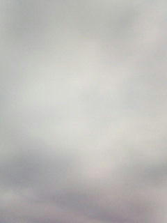 081114_0756.jpg