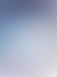 081117_0752.jpg