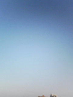 081117_0753.jpg