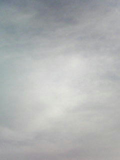 081118_0758.jpg