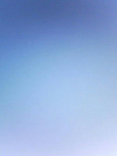 081119_0742.jpg