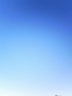 081119_0743.jpg