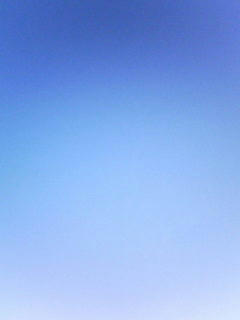 081120_0742.jpg