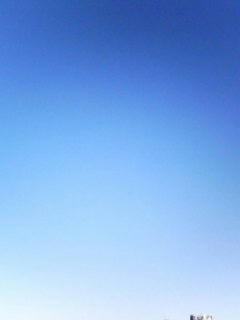 081120_0743.jpg
