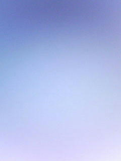 081121_0734.jpg