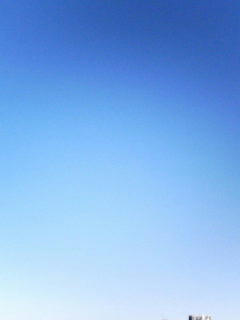 081121_0735.jpg