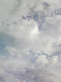 081124_0839.jpg
